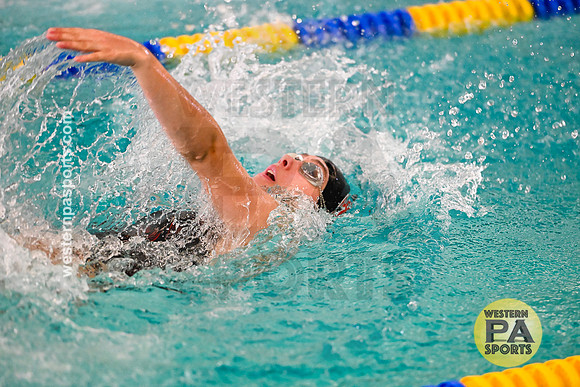 WCCA Swim_20250125-WP2_5102