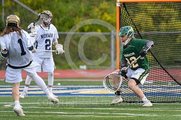 Boys LAX-Norwin vs PT_20210513-WP1_4764