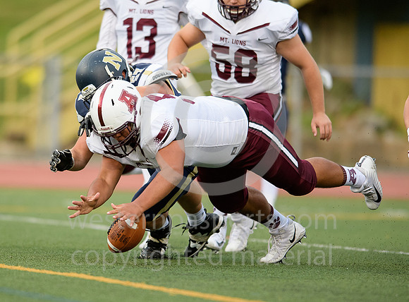 Football_Altoona at Norwin_20170901-KR1_8003