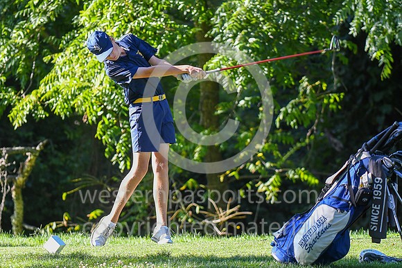 2023 WCCA Boys Golf_20230831-KR1_4231