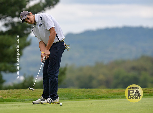 2017 Westmoreland County Coaches Association Boys Golf Tournament