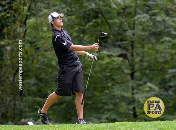 2017 Westmoreland County Coaches Association Boys Golf Tournament