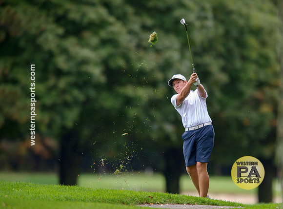 2017 Westmoreland County Coaches Association Boys Golf Tournament