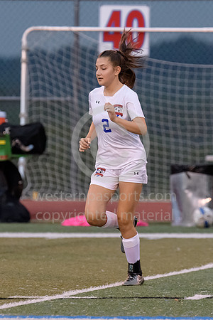 Franklin Regional beats Mount Pleasant 3-2 in Girls Soccer