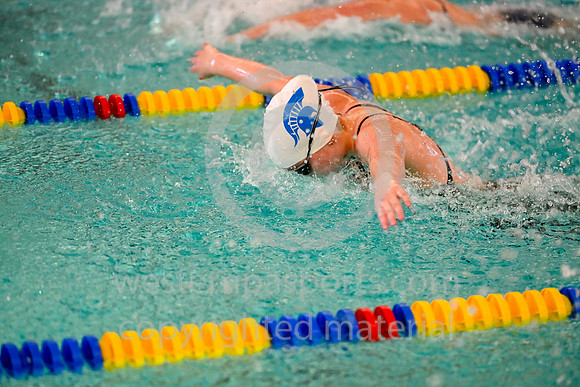 WCCA Swim_20250125-WP2_5797