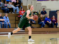 Girls Hoops_Mt Pleasant vs Yough_20180111-KR1_8973