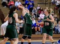 Girls Hoops_Mt Pleasant vs Yough_20180111-KR1_8980