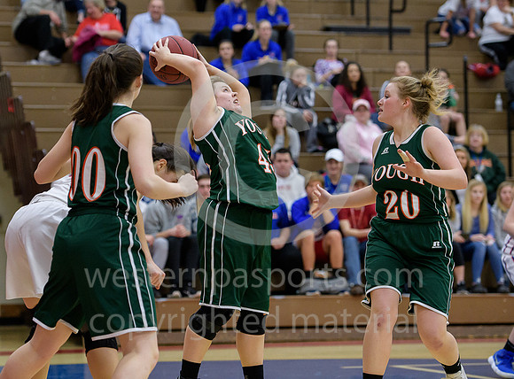 Girls Hoops_Mt Pleasant vs Yough_20180111-KR1_8980