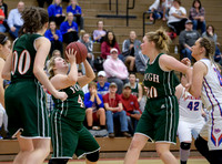 Girls Hoops_Mt Pleasant vs Yough_20180111-KR1_8982