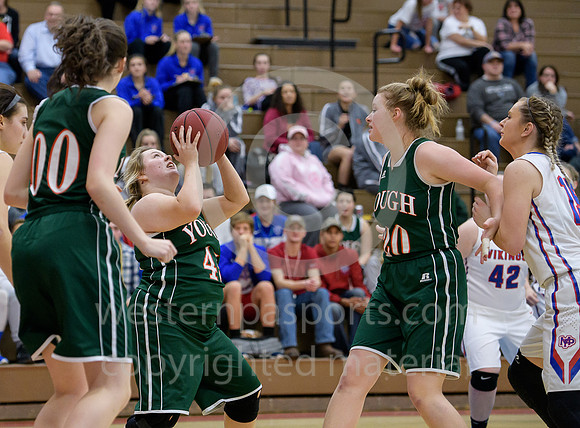 Girls Hoops_Mt Pleasant vs Yough_20180111-KR1_8982
