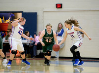 Girls Hoops_Mt Pleasant vs Yough_20180111-KR1_8985