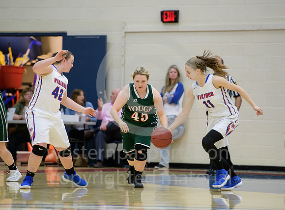 Girls Hoops_Mt Pleasant vs Yough_20180111-KR1_8985