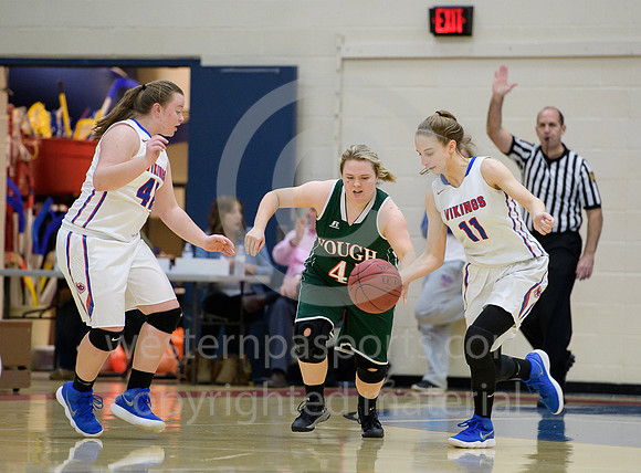 Girls Hoops_Mt Pleasant vs Yough_20180111-KR1_8987