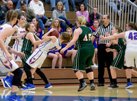 Girls Hoops_Mt Pleasant vs Yough_20180111-KR1_9002