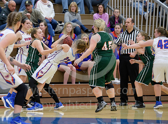 Girls Hoops_Mt Pleasant vs Yough_20180111-KR1_9002
