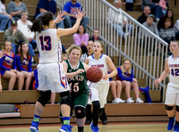 Girls Hoops_Mt Pleasant vs Yough_20180111-KR1_9010