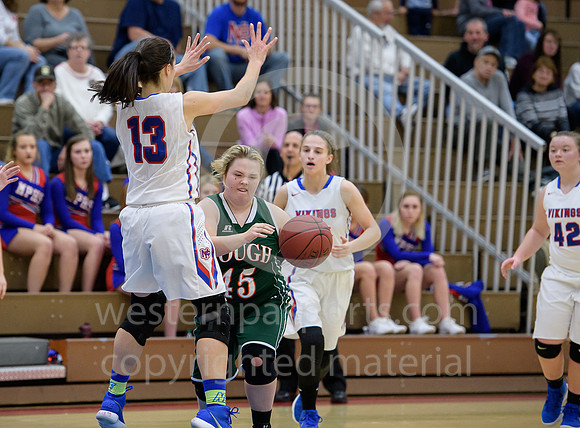 Girls Hoops_Mt Pleasant vs Yough_20180111-KR1_9010