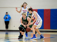 Girls Hoops_Mt Pleasant vs Yough_20180111-KR1_9040