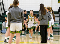 Girls Hoops_PT vs Norwin_20180119-KR1_3976
