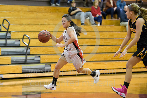 Girls Hoops_Ligonier Valley vs N Cambria_20180124-KR1_8000