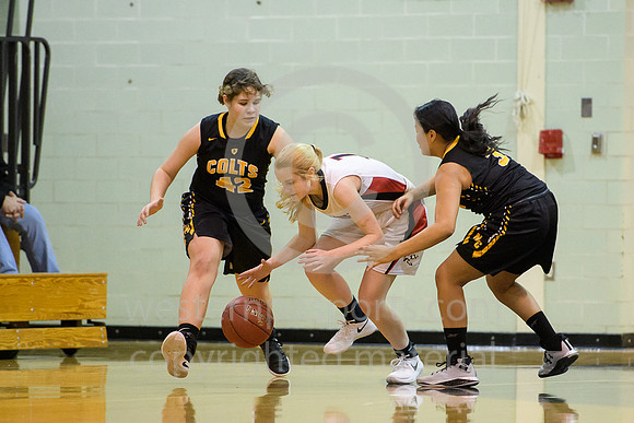 Girls Hoops_Ligonier Valley vs N Cambria_20180124-KR1_8023
