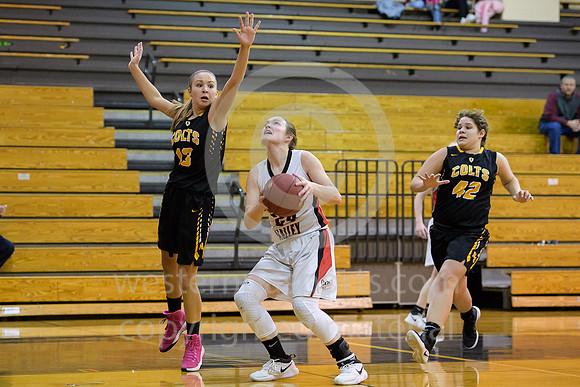 Girls Hoops_Ligonier Valley vs N Cambria_20180124-KR1_8033