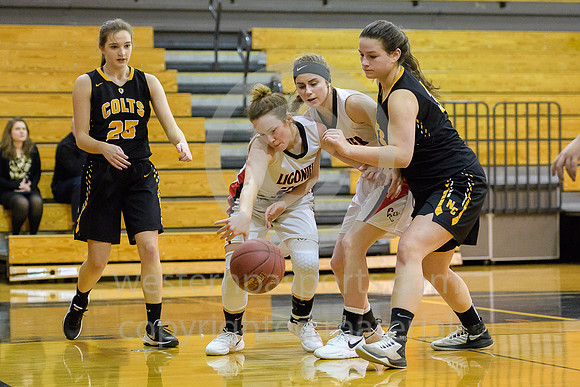 Girls Hoops_Ligonier Valley vs N Cambria_20180124-KR1_8064