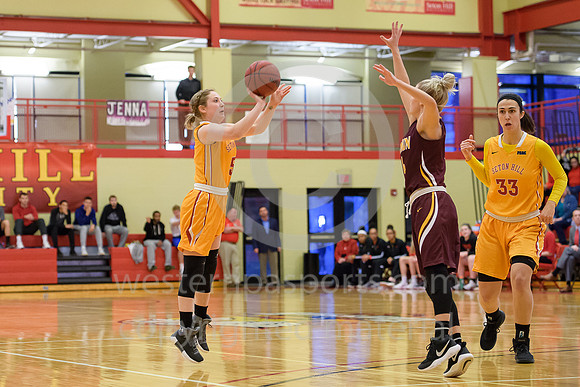 Girls Hoops_PSAC Rnd 1_Seton Hill vs Gannon_20180226-KR1_4844