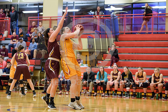 Girls Hoops_PSAC Rnd 1_Seton Hill vs Gannon_20180226-KR1_4914