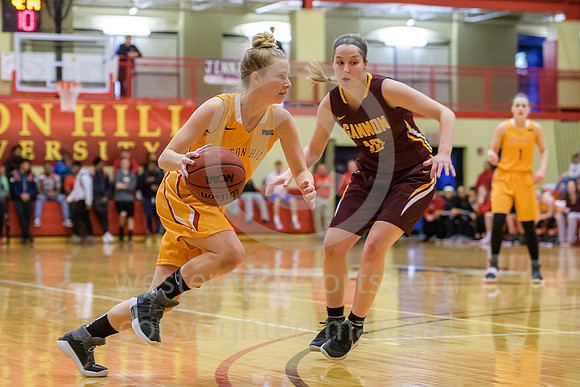 Girls Hoops_PSAC Rnd 1_Seton Hill vs Gannon_20180226-KR1_4931