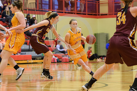 Girls Hoops_PSAC Rnd 1_Seton Hill vs Gannon_20180226-KR1_5164