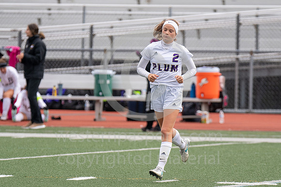 Girls Soccer_Franklin Regional vs Plum_20181013-KR1_7887
