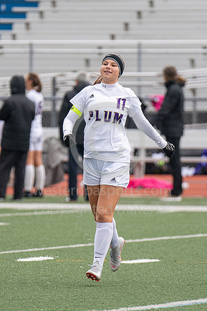 Girls Soccer_Franklin Regional vs Plum_20181013-KR1_7967