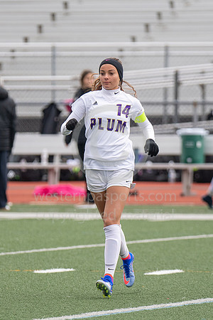 Girls Soccer_Franklin Regional vs Plum_20181013-KR1_7984