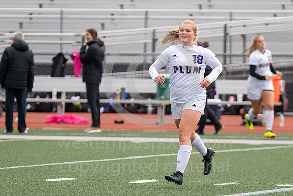Girls Soccer_Franklin Regional vs Plum_20181013-KR1_8020