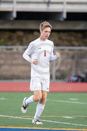 Boys Soccer_Franklin Regional vs Bellefonte_20181106-KR1_9184