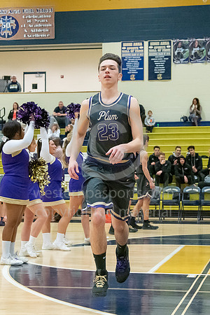 Boys Hoops_Kiski Area vs Plum_20181218-KR5_5982