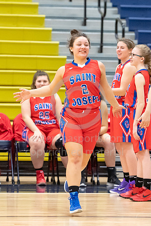 Girls Hoops_Kiski Area vs St Joseph_20181218-KR1_8462