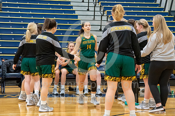 Girls Basketball_Norwin vs PT_20190109-KR5_7666