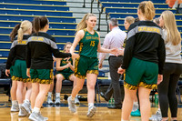 Girls Basketball_Norwin vs PT_20190109-KR5_7675