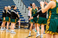 Girls Basketball_Norwin vs PT_20190109-KR5_7683