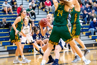 Girls Basketball_Norwin vs PT_20190109-KR1_2495