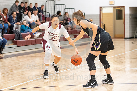 Girls Basketball_GCC vs Plum_20190118-KR1_0344