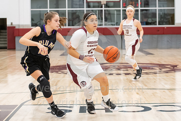 Girls Basketball_GCC vs Plum_20190118-KR1_0350