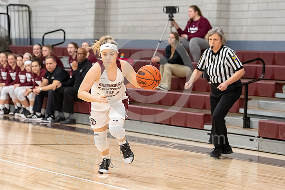 Girls Basketball_GCC vs Plum_20190118-KR1_0375
