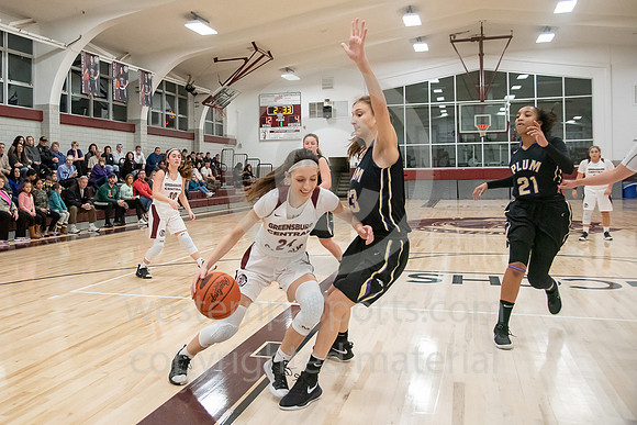 Girls Basketball_GCC vs Plum_20190118-KR5_8758