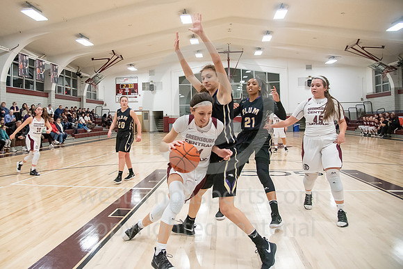 Girls Basketball_GCC vs Plum_20190118-KR5_8760