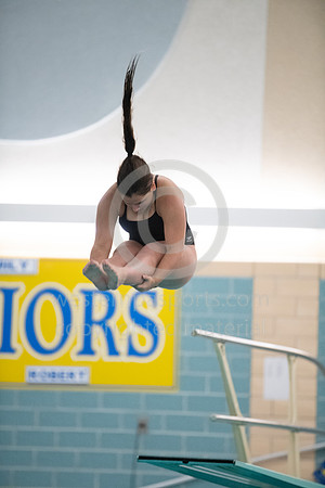 2019 WCCA Swim_20190125-BLR-6883