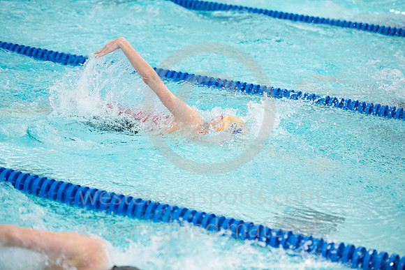 2019 WCCA Swim_20190126-BLR-9554