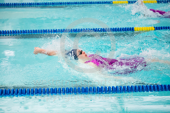 2019 WCCA Swim_20190126-KR1_6871